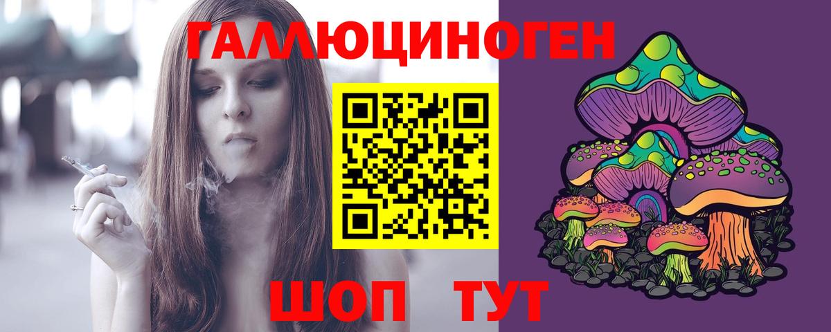 сколько стоит  Вход с VPN  Псилоцибиновые грибы мухоморы  Гай  Псилоцибиновые грибы ЛСД 