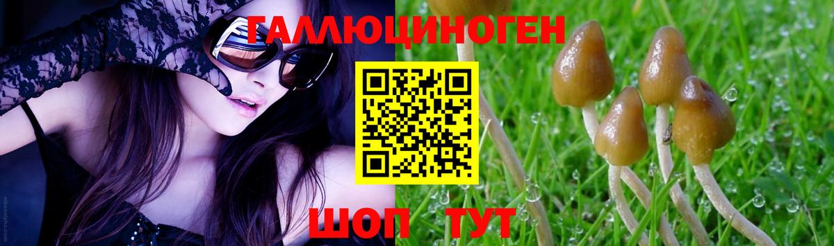 Канабис Гай