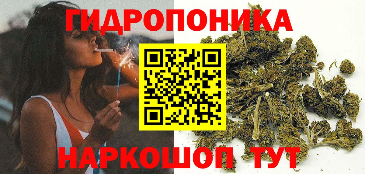 Конопля марихуана  МАРИХУАНА гибрид  Гай  Канабис тримм  Вход с VPN 